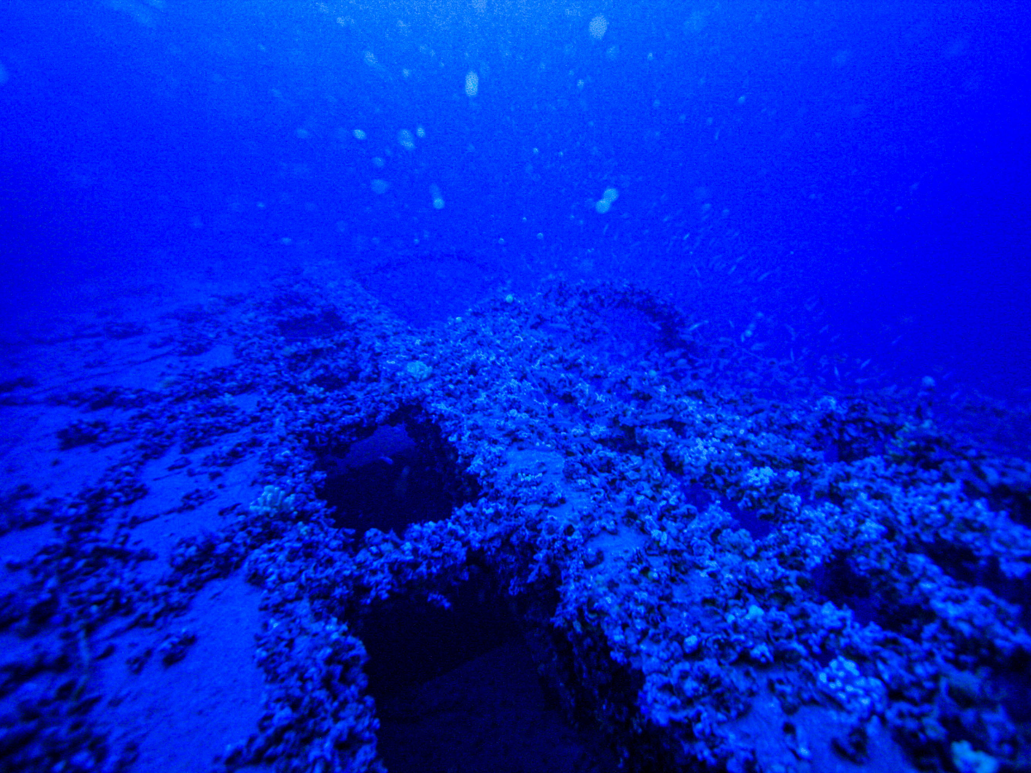Relitto TIRPITZ